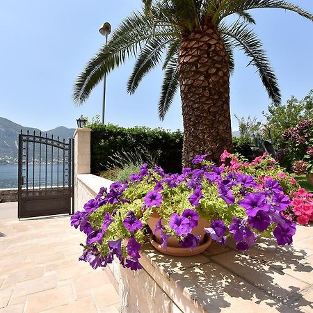 Maniva Penthouse By The Sea Apartment Kotor Bagian luar foto