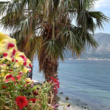 Maniva Penthouse By The Sea Apartment Kotor Bagian luar foto
